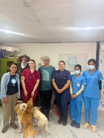 Veterinary Internship Program in Nepal